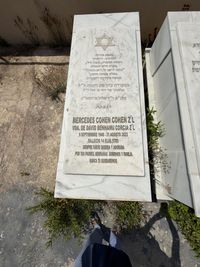 COHEN COHEN MERCEDES