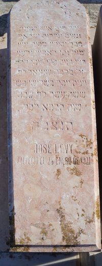 LEVY JOSE