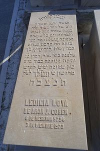 LOYA LEDICIA de AARON J. COHEN